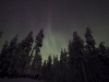 Nordlicht über dem Wald bei unserem Haus