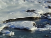 2014-02-09_Island_044