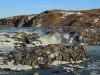 2014-02-09_island_031