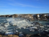 2014-02-09_island_038