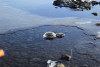 2014-02-11_Island_321