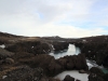 2014-02-13_island_441
