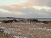 2014-02-15_island_518