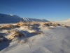 2014-02-18_island_577
