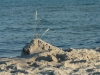 2012-07-25_Schweden_2012_0632