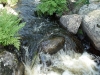 2012-07-24_Schweden_2012_0588