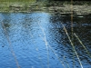 2012-07-24_Schweden_2012_0612