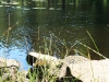 2012-07-24_Schweden_2012_0613