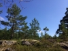 2014-07-20_schweden_117