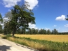 2014-07-20_schweden_126