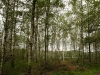 2012-07-11_Schweden_2012_0068