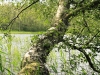 2012-07-11_Schweden_2012_0073