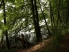 2012-07-11_Schweden_2012_0080