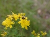 2012-07-11_Schweden_2012_0086