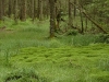 2012-07-11_Schweden_2012_0092